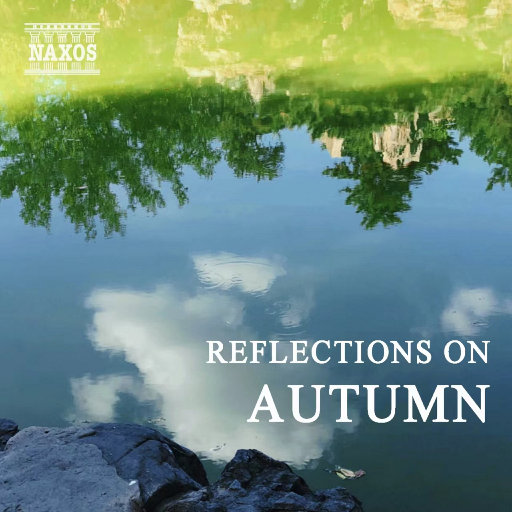 中国XXXXXL1819免费
